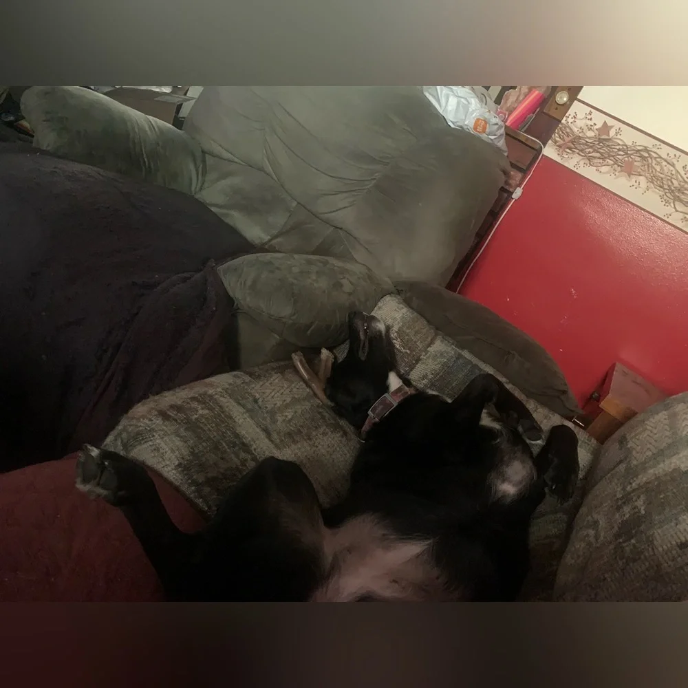 Still here! - Picture 8 of 12